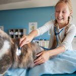 cabinet-veterinar-sector-4