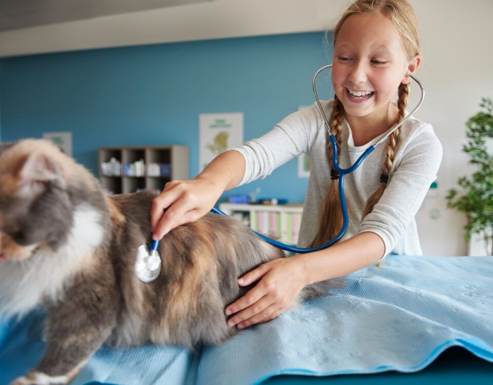 cabinet-veterinar-sector-4