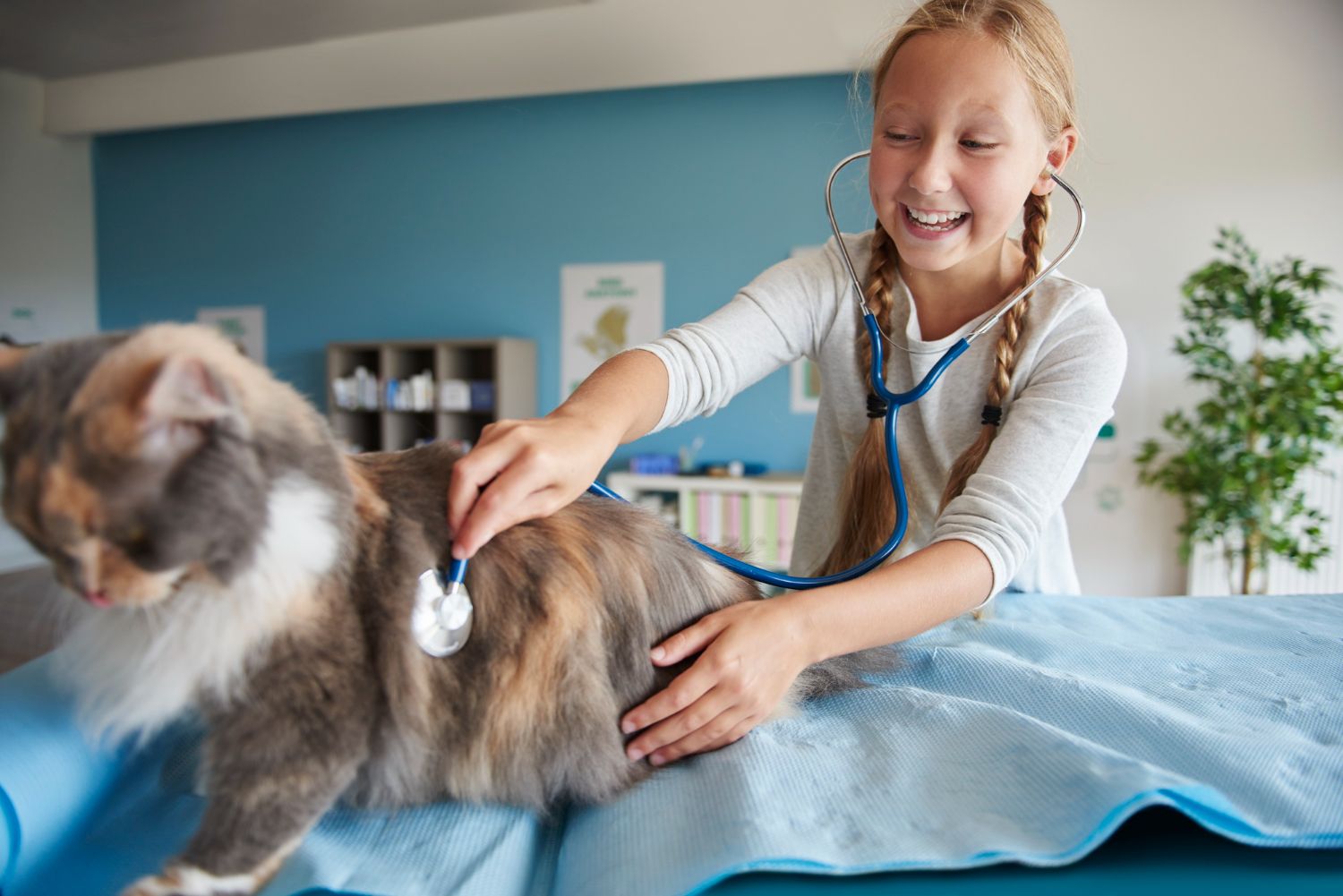 cabinet-veterinar-sector-4